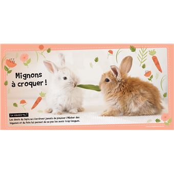 Lapins coquins