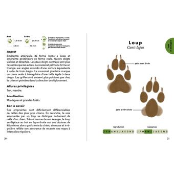 Le petit guide des empreintes animales - 70 traces et indices à observer