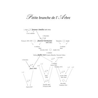 Le livre des mémoires éparpillées