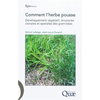 Comment L Herbe Pousse Developpement Vegetatif Structures Clonales Et Spatiales Des Graminees Broche Michel Lafarge Jean Louis Durand Achat Livre Ou Ebook Fnac
