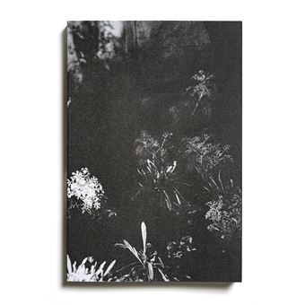 Le Jardin d'après