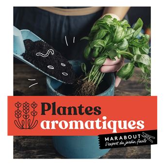 Plantes aromatiques