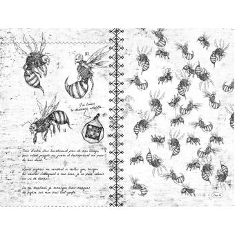 Exit le livre : Journal de bord 1907