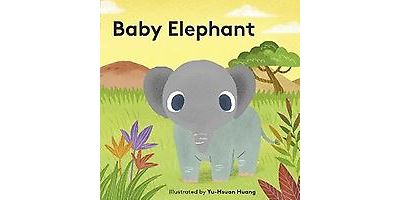 Baby Elephant