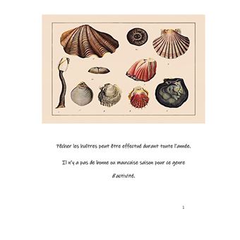 Ostréa, le trésor d'Alfred