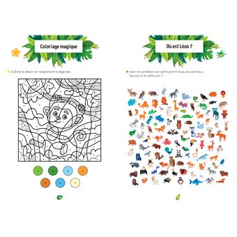Mes jeux d'observation