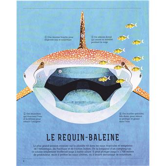 Dans les océans
