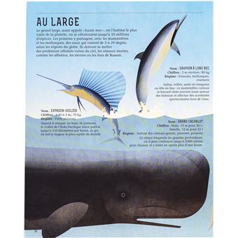 Dans les océans