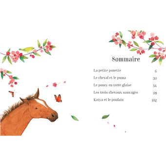 Mon livre préféré sur les chevaux: Histoires - infos passionnantes -  créations - petits tests