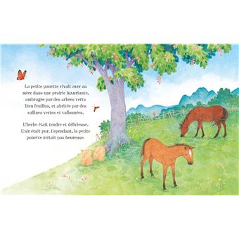 Histoires de chevaux et de poneys pour les petits