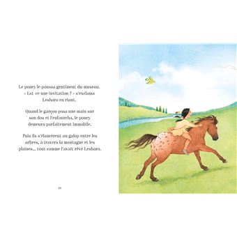 Histoires de chevaux et de poneys pour les petits