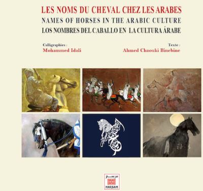 Les noms du cheval chez les Arabes - Ahmed Chaouki Binebine - broché