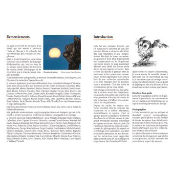 Rapaces nocturnes d'Europe. Identification - Biologie - Écologie