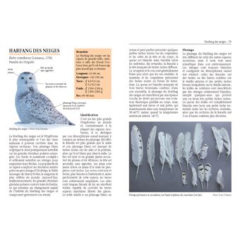 Rapaces nocturnes d'Europe. Identification - Biologie - Écologie