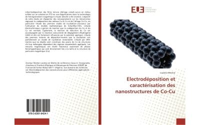 Electrodeposition et caracterisation des nanostructures de c