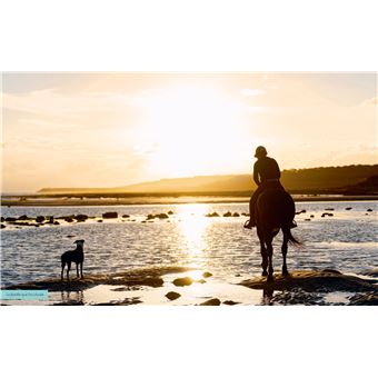 Mes astuces pour cavaliers