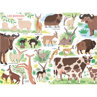 Mon grand tour du monde des animaux