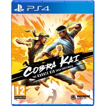 Cobra Kai : The Karate Kid Saga Continues PS4
