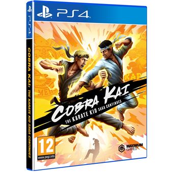 Cobra Kai : The Karate Kid Saga Continues PS4