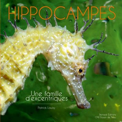 Hippocampes