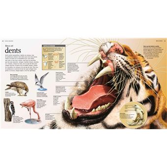 Terribles prédateurs