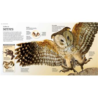 Terribles prédateurs