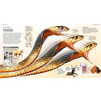 Terribles prédateurs