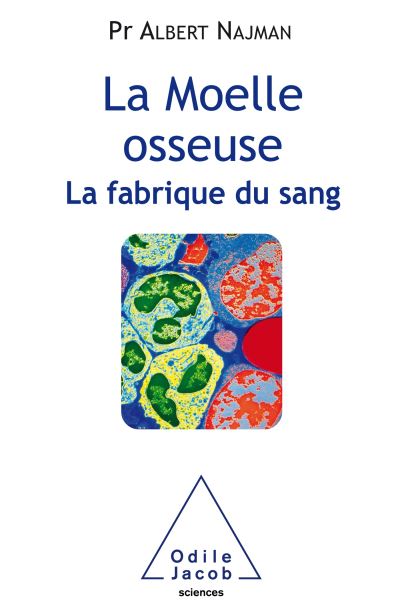 La fabrique du sang la moelle osseuse