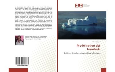 Modélisation des transferts