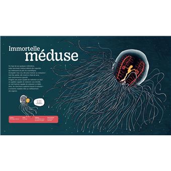 Les super pouvoirs des animaux marins