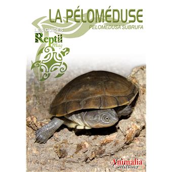 La péloméduse roussâtre