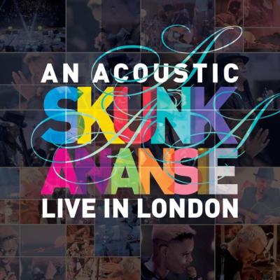 An acoustic Skunk Anansie live - Inclus DVD