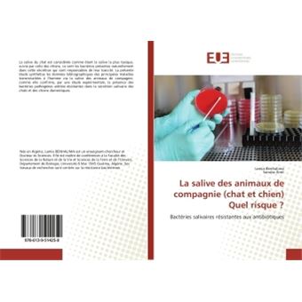 Verrou De Poubelle, Verrou De Poubelle Pour Animal S'Adapte à Une Poubelle De 30-50 Gallons, Verrou/sangle De Couvercle De Poubelle Réglable Avec Griffe En Métal