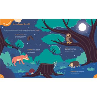 Le livre de découvertes de mes 3 ans