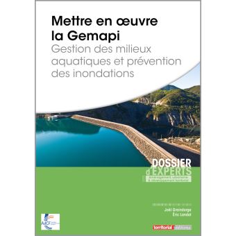 Mettre En œuvre La Gemapi Gestion Des Milieux Aquatiques Et Prevention Des Inondations Broche Joel Graindorge Eric Landot Achat Livre Fnac
