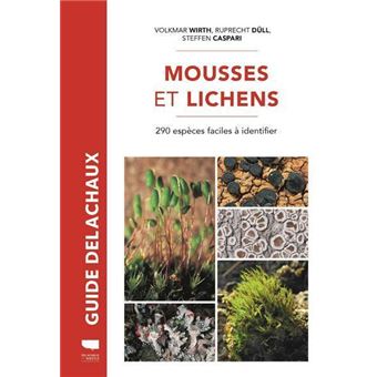 Mousses et lichens