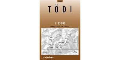 Todi