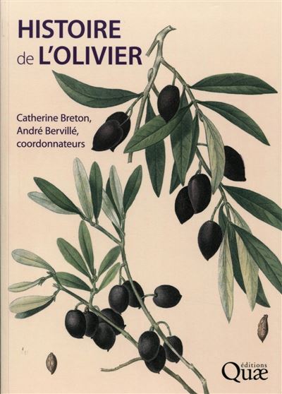 Histoire de l'Olivier
