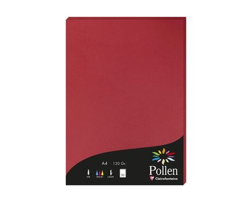 POLLEN GROSEILLE ETUI 50F A4 120G