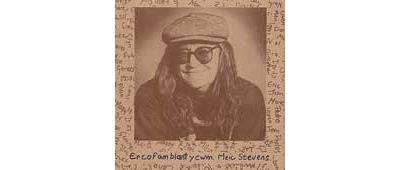 Ercofamblant y cwm