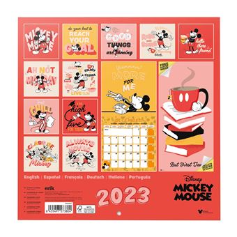 Mickey & ses Amis - Calendrier Familial 2024, Mickey & Minnie Mouse Calendrier  mural