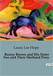 Bunny Brown and His Sister Sue and Their Shetland Pony