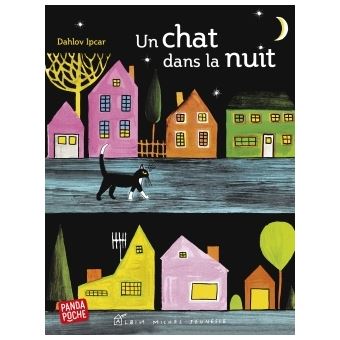 Un Chat Dans La Nuit Poche Dahlov Ipcar Achat Livre Fnac