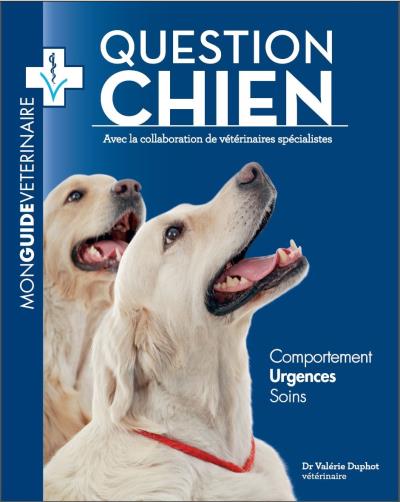 Question chien