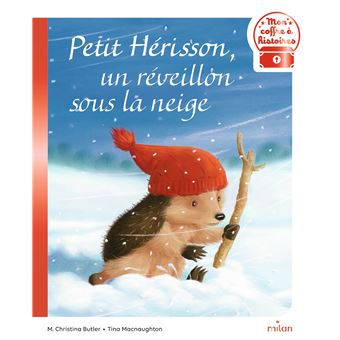 Petit Hérisson, un réveillon sous la neige