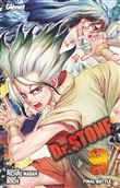 Dr. Stone