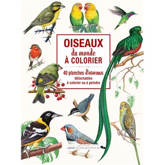 Oiseaux du monde à colorier