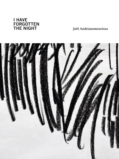 I Have Forgotten the Night