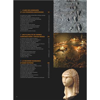 La grande odyssée de l'évolution de l'Homme