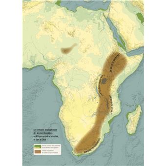 La grande odyssée de l'évolution de l'Homme